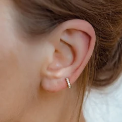 Ohrstecker | Hey Happiness Fächerförmige Helix Ohrringe mit Strasssteinen Sterlingsilber in Gold