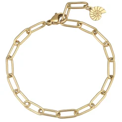 Ketten Armbänder | Hey Happiness Großgliedriges Armband Gold