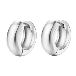 Creolen | Hey Happiness Kleine Chunky Creolen in Silberfarbe Silver