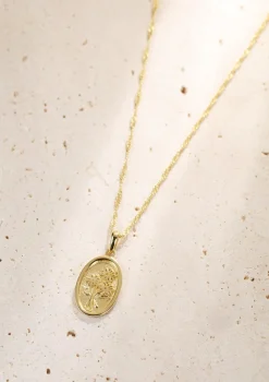 Filigrane Ketten | Hey Happiness Oval Gänseblümchen Kette Sterlingsilber in Gold